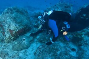 Ancient amphora